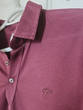 Burgundy Lacoste Polo